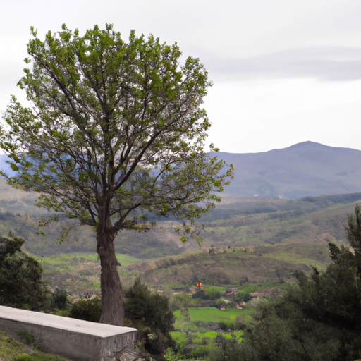 Monumentos de Sierra de los Filabres: las obras de arte que no te puedes perder