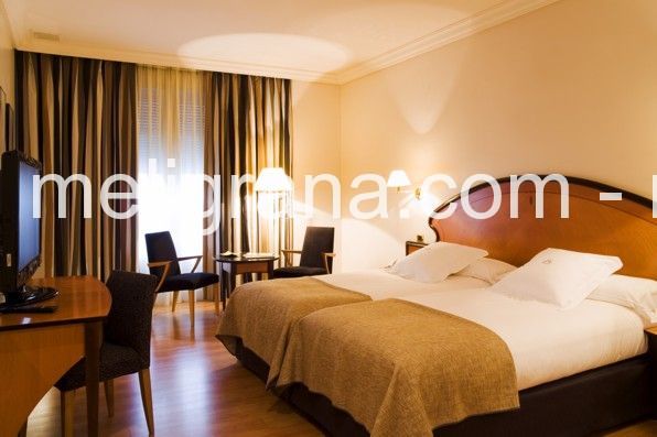 Hotel Carmen