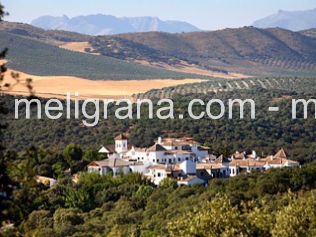 Hotel Barceló La Bobadilla