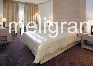 Hotel Meliá Valencia Palace