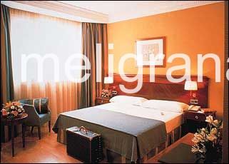 Hotel Melía Plaza