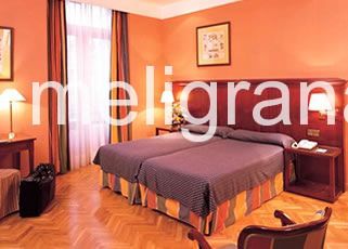Hotel Meliá Inglés Boutique Hotel