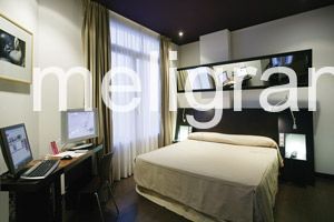 Hotel Petit Palace Germanias