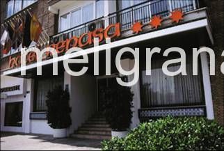 Hotel Renasa