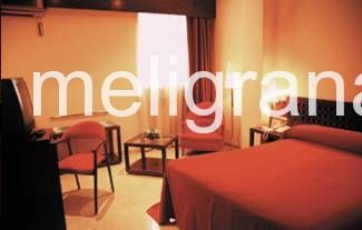 Hotel Renasa
