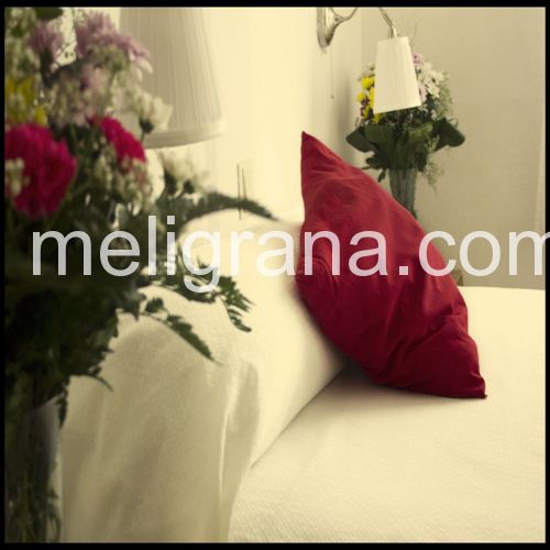 Hostal Castilla
