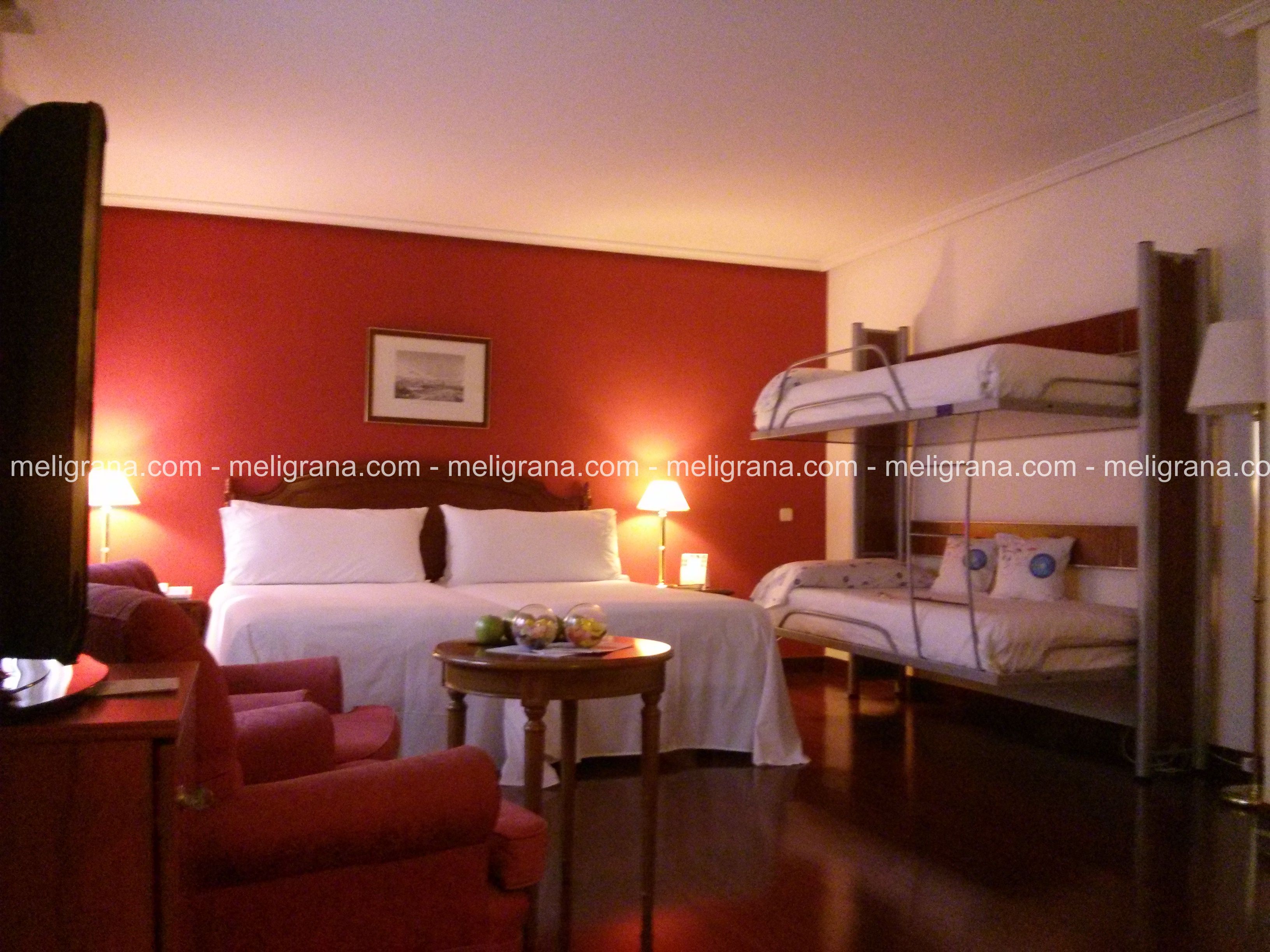 Hotel Tryp Ambassador