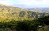 Alojamiento Rural Complejo Los Algarrobales